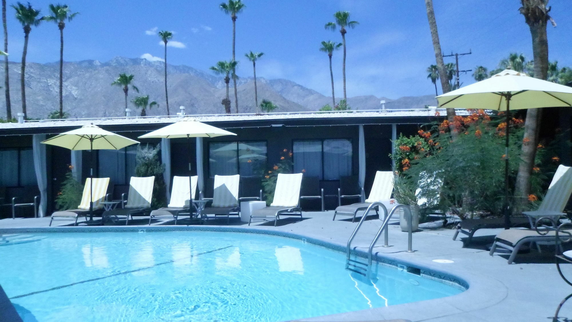 Avanti Hotel Palm Springs Zewnętrze zdjęcie